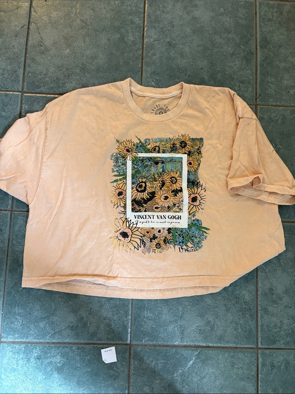 Vincent Van Gogh Peach Sunflower Crop Top